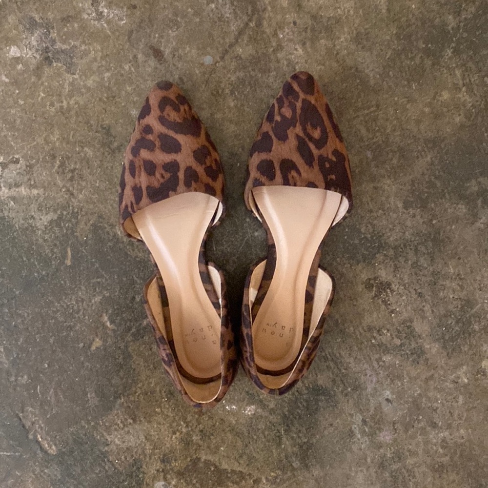 A New Day Flats